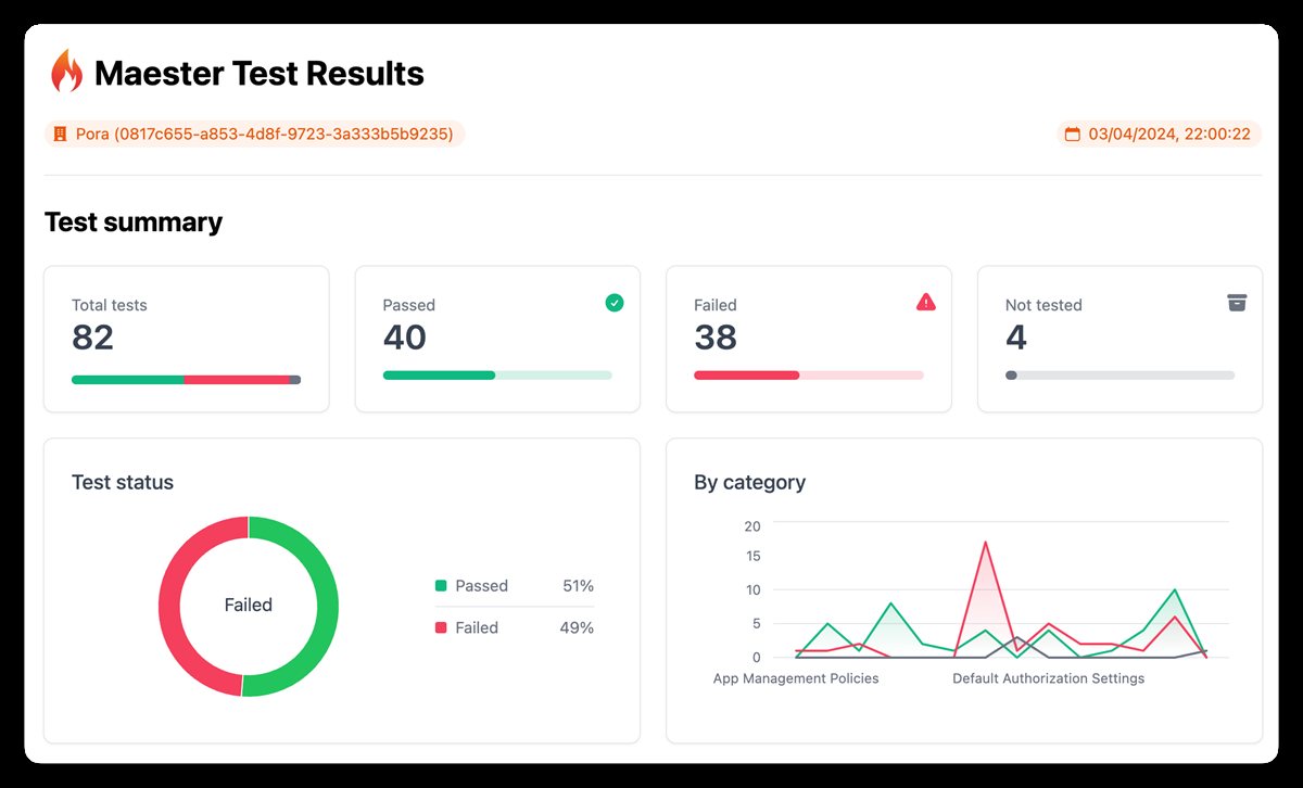 Check Maester Report example
